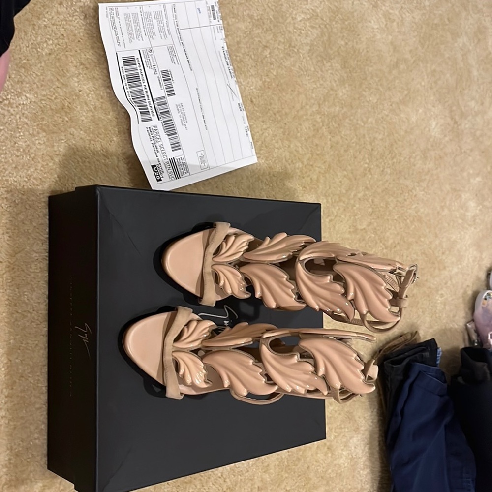 Giuseppe zanotti